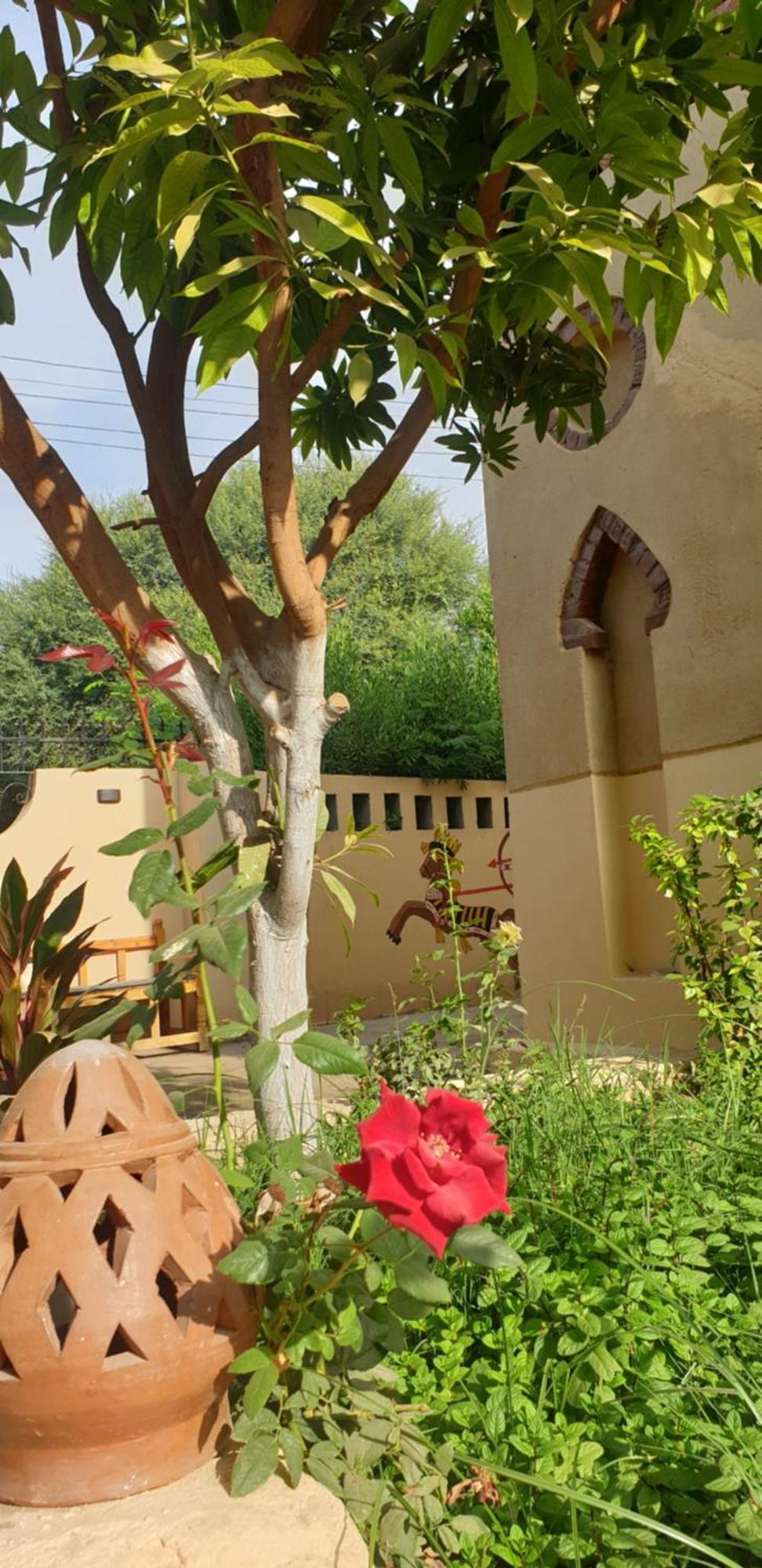 Luxor Villa Hatshepsut Bagian luar foto